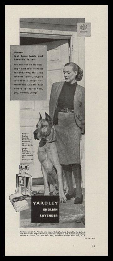1946 Yardley English Lavender Vintage Ad | Great Dane
