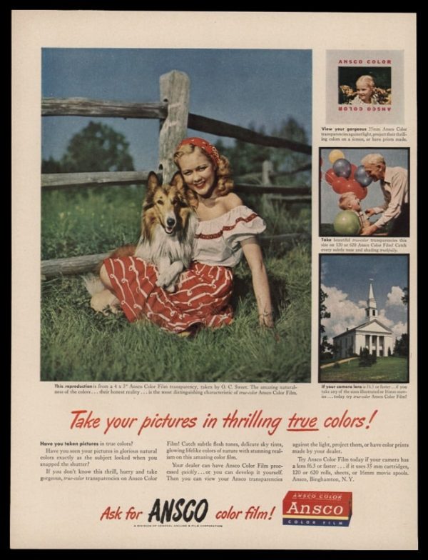 1948 ANSCO Color Film Vintage Ad | Collie Dog