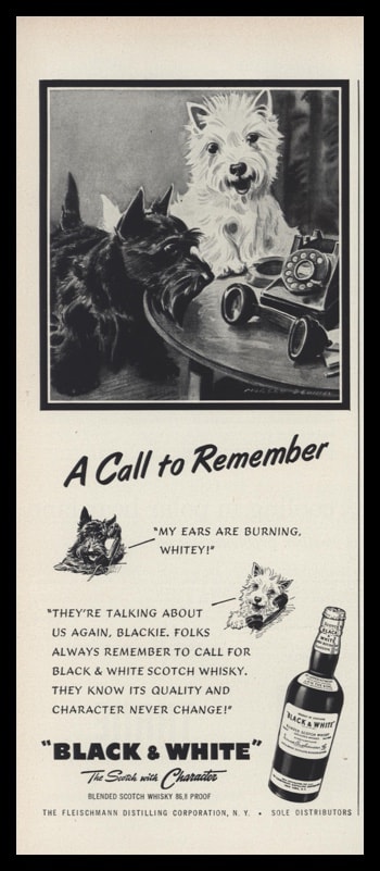 1953 Black & White Scotch Vintage Ad | Dog Art