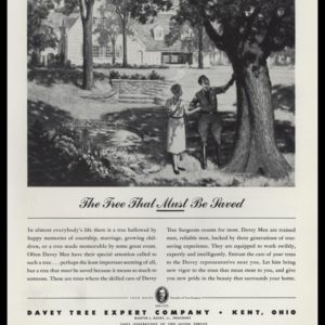 1947 Davey Tree Expert Co. Vintage Ad - "The Tree That Must Be Saved"