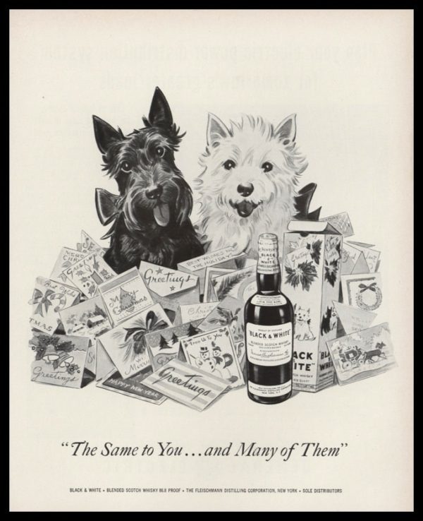 1953 Black & White Scotch Whisky Vintage Ad - "Same to You"