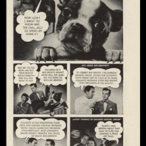 1946 Colgate Dental Cream Vintage Ad | New Tricks